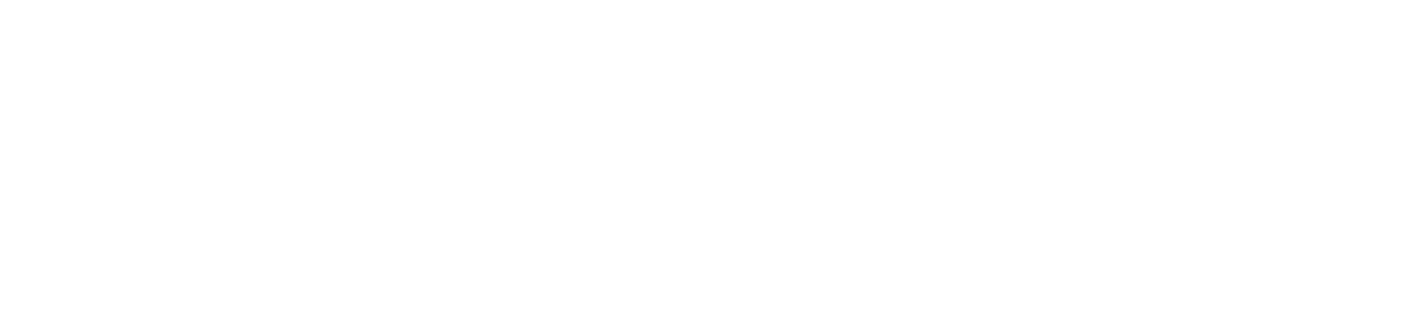 KRUK BUS